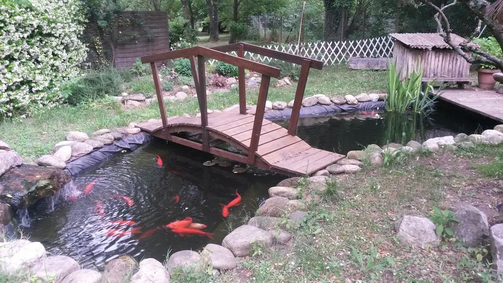Camping Le Fief D'Anduze Buitenkant foto