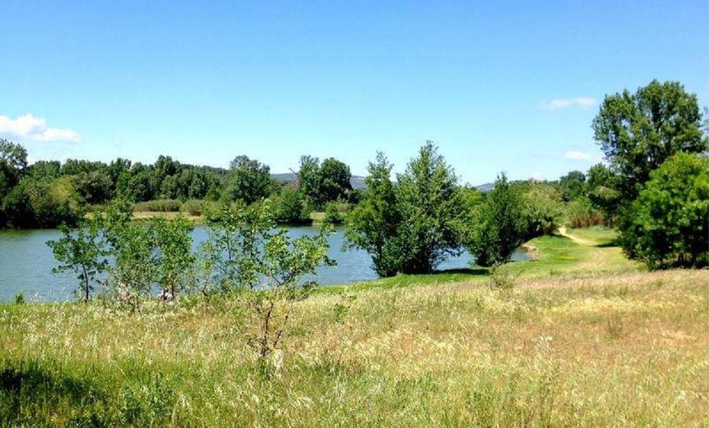 Camping Le Fief D'Anduze Buitenkant foto